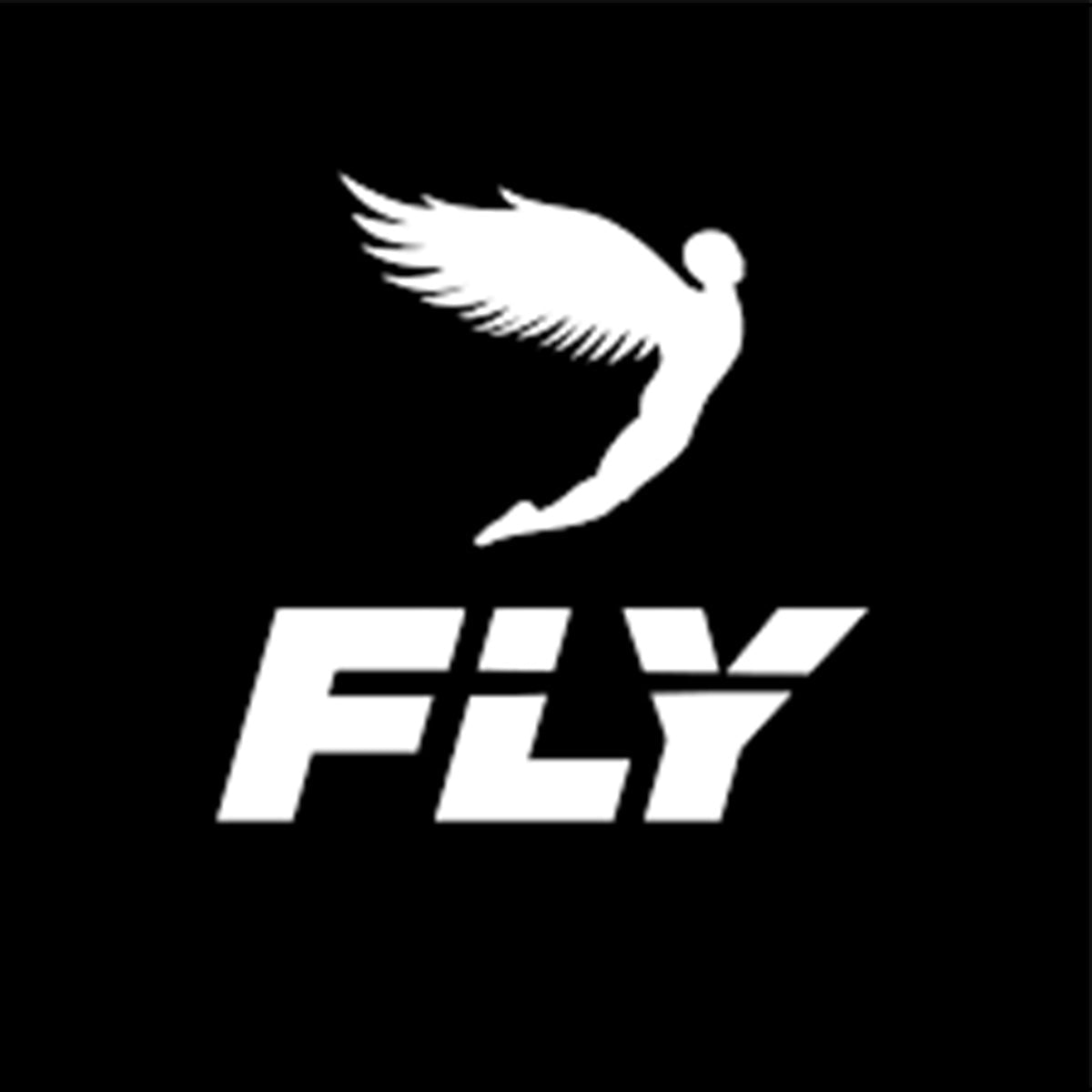 Fly Boxing