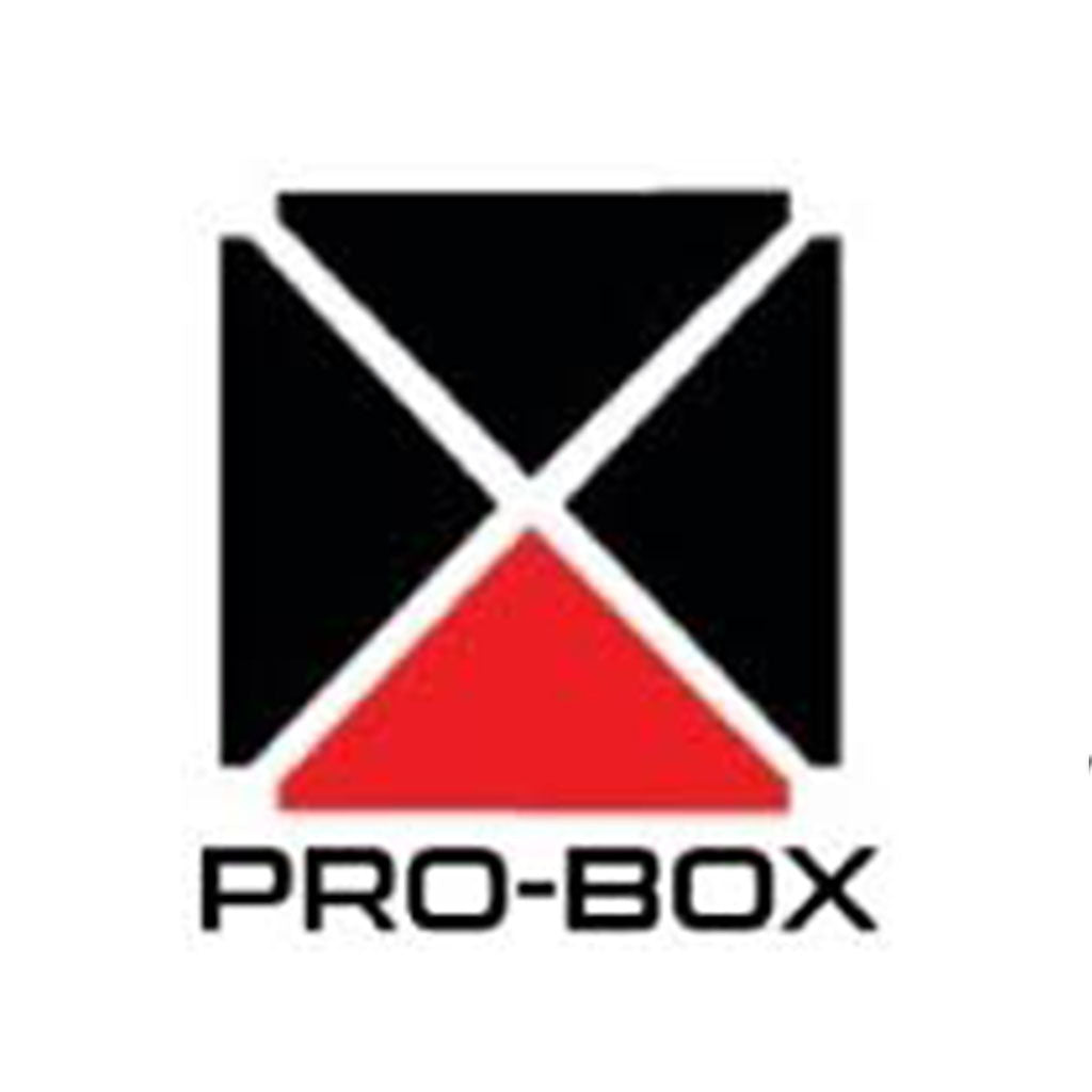 Pro Box Boxing